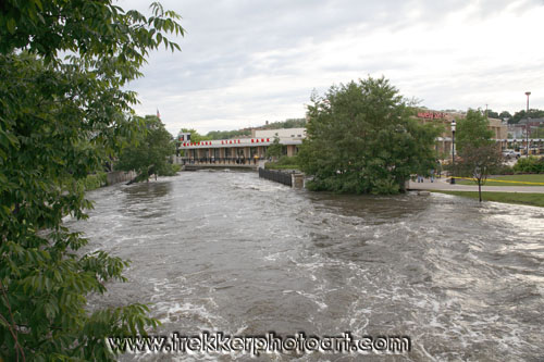 IMG_2417.jpg